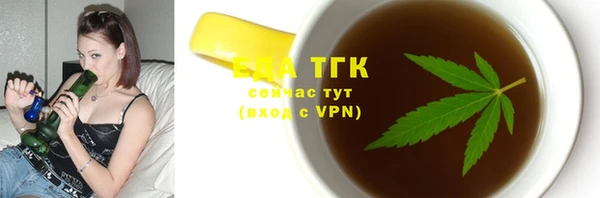 ECSTASY Белокуриха