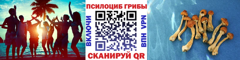 Псилоцибиновые грибы Psilocybine cubensis  цена   OMG ССЫЛКА  Красновишерск 